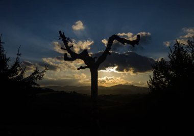 Gün batımında doğa manzarası