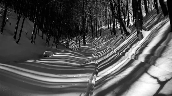 Natureza Sob Neve Durante Inverno — Fotografia de Stock