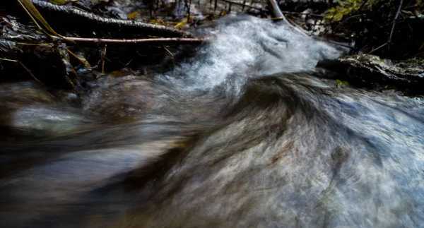 Strumień Wody Dzikim Lesie — Zdjęcie stockowe