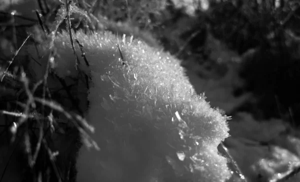 Snöig Vinternatur Dagtid — Stockfoto