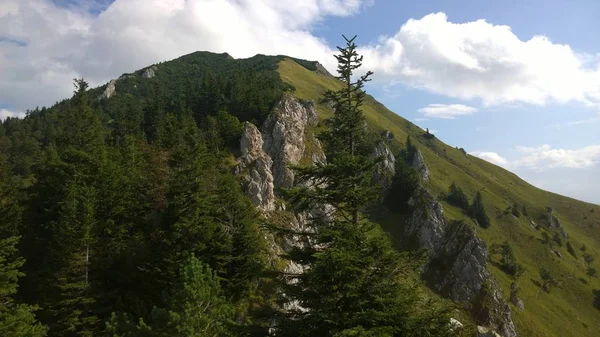 Schöne Sommerliche Berglandschaft — Stockfoto