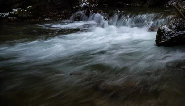 Torrente Fluviale Nella Foresta Selvaggia — Foto Stock