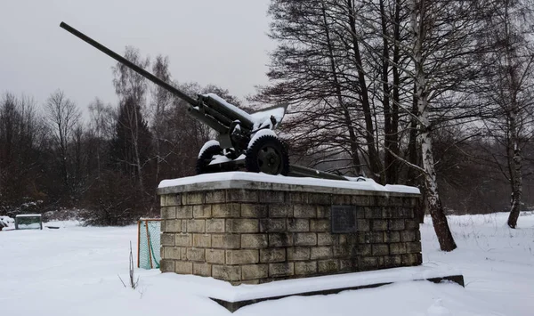 Monumento Cannoni Nel Parco Invernale — Foto Stock