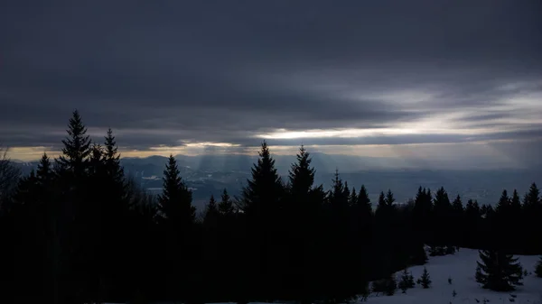 Słońce Przełamuje Chmurę Nad Lasem — Zdjęcie stockowe