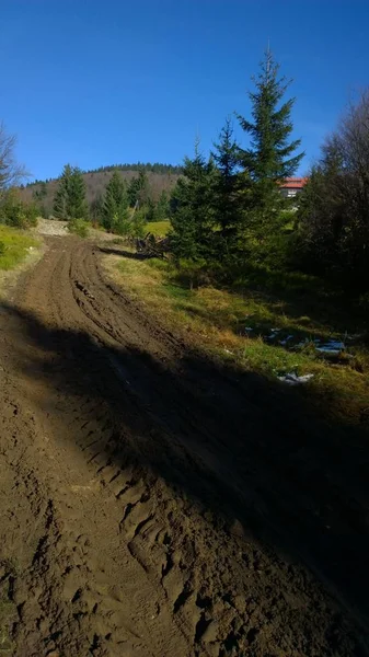 Dirty road in forest in sunny day