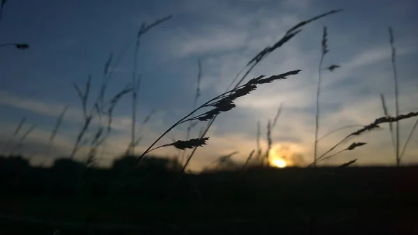 Naturlandskap Vid Solnedgången — Stockfoto