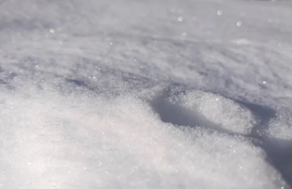 Vit Snö Bakgrund Vintern — Stockfoto