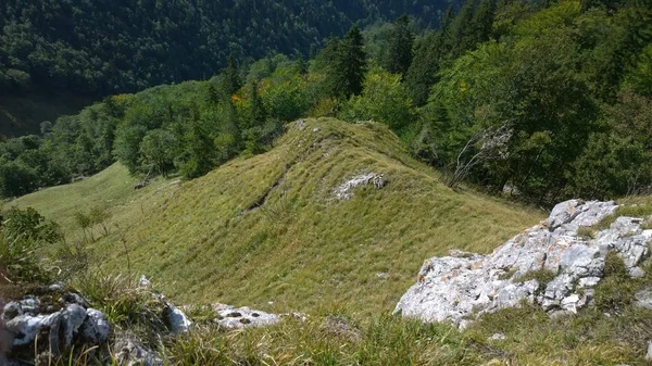 Bellissime Montagne Estive Paesaggio — Foto Stock