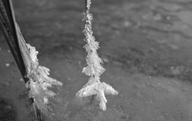 Buz ans kar kış aylarında yakın. Slovakya