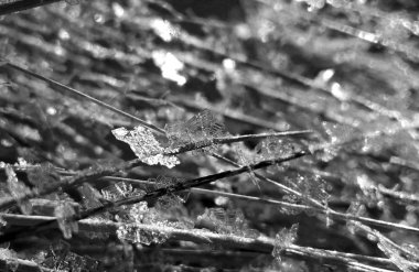 Buz ans kar kış aylarında yakın. Slovakya