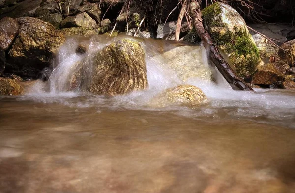 森林里有石头的小河 — 图库照片