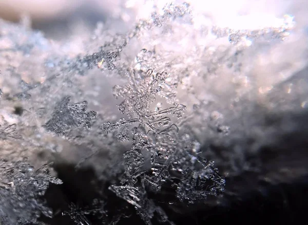 Ice Ans Снігу Крупним Планом Зимовий Період Словакія — стокове фото