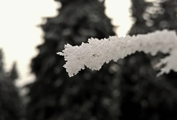 Natura Innevata Nella Stagione Invernale — Foto Stock