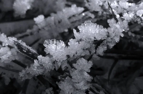 冬の間は氷の雪がクローズアップされます スロバキア — ストック写真