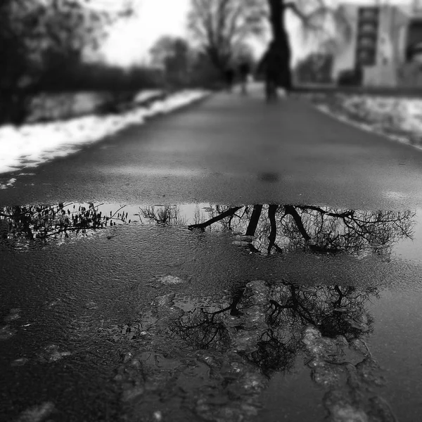 Neige Fondante Sur Route Asphaltée — Photo