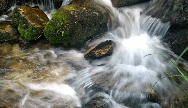 野生森林中的石头瀑布 — 图库照片