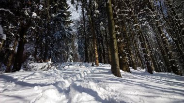 Doğa, dağlar ve ormanlar kış aylarında karla kaplı. Slovakya