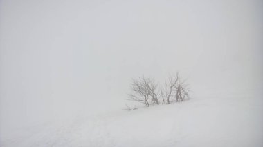 Doğa, dağlar ve ormanlar kış aylarında karla kaplı. Slovakya