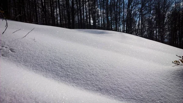 Natureza Montanhas Florestas Cobertas Neve Durante Inverno Eslováquia — Fotografia de Stock