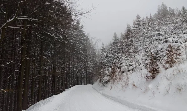 Natur Berge Und Wälder Die Winter Mit Schnee Bedeckt Sind — Stockfoto