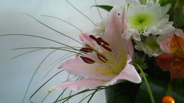 Schöne Blumen Auf Einem Hölzernen Hintergrund — Stockfoto