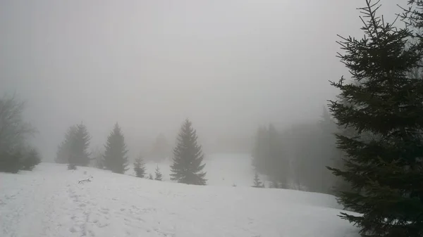 Natur Berge Und Wälder Die Winter Mit Schnee Bedeckt Sind — Stockfoto