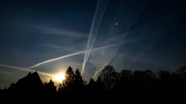 Cielo Del Atardecer Sobre Bosque Verde — Foto de Stock