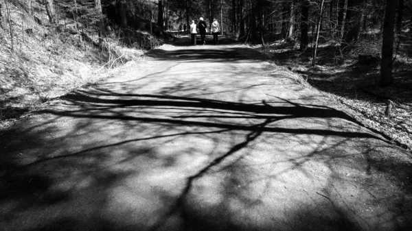 Άνθρωποι Περπατούν Στο Δάσος Ασπρόμαυρος Τόνος — Φωτογραφία Αρχείου