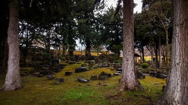 Prachtig Groen Park Overdag — Stockfoto