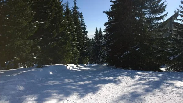 Naturaleza Montañas Bosques Cubiertos Nieve Durante Invierno Países Bajos — Foto de Stock