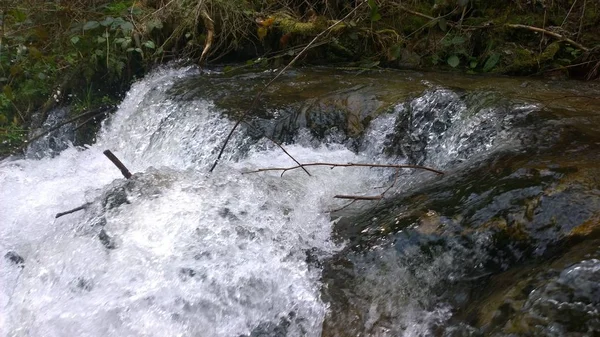 Water Stream River Woods Slovakia — Stock Photo, Image