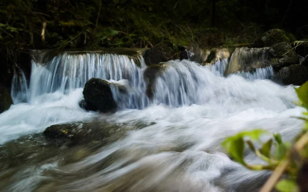 树林里的河里有溪水 斯洛伐克 — 图库照片