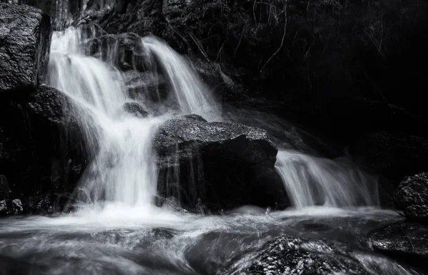 Vízsugár Folyó Erdőben Szlovákia — Stock Fotó