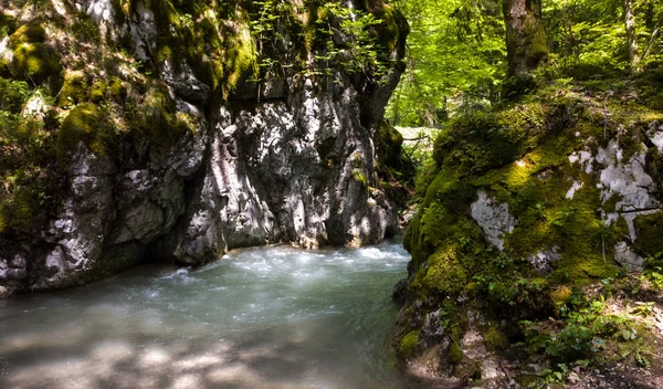 Beautiful Waterfall Forest — Stock Photo, Image