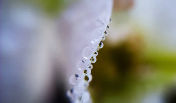 Abstract Background Water — Stock Photo, Image