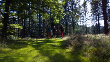 Kurulları tarafından bir orman yolu sayısız ağaçlar ve Sibirya Tayga çalıların arasında çalışır.