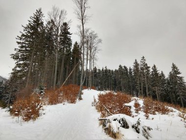 Kışın kar altında park edin. Slovakya