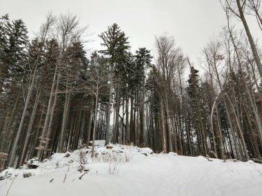 Kışın kar altında park edin. Slovakya