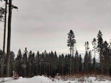 Kışın kar altında park edin. Slovakya