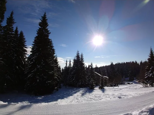 Naturaleza Cubierta Nieve Durante Invierno Países Bajos —  Fotos de Stock