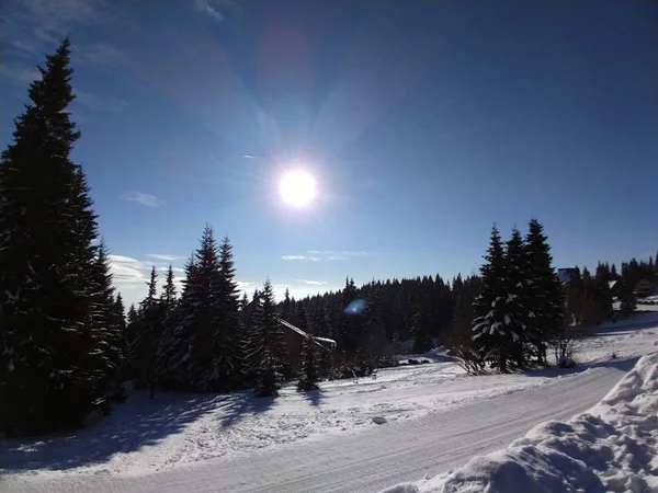 Przyroda Pokryta Śniegiem Zimą Słowacja — Zdjęcie stockowe