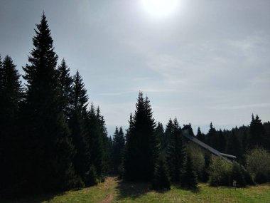 Tepelerden manzara. Slovakya