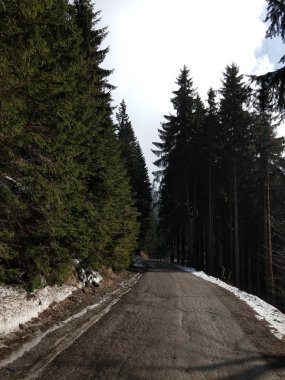 Karların altındaki doğa, kışın güneş ve gölgelerle. Slovakya