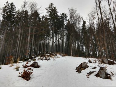 Kışın kar altında park edin. Slovakya