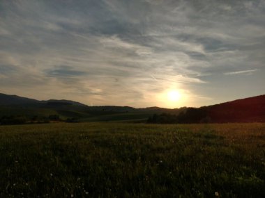 Yeşil dağ çayırı manzarası