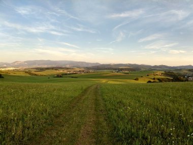 Yeşil dağ çayırı manzarası