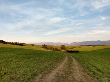 Yeşil dağ çayırı manzarası