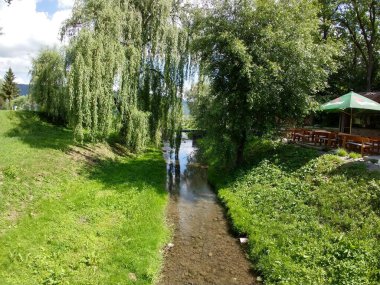 Yeşil ormandaki su akıntısı ve köprü
