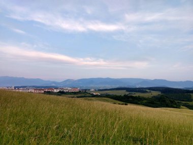 Şehrin yakınındaki çayır arazisi.