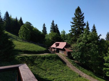 Güneşli bir günde dağ ormanındaki kır evi.
